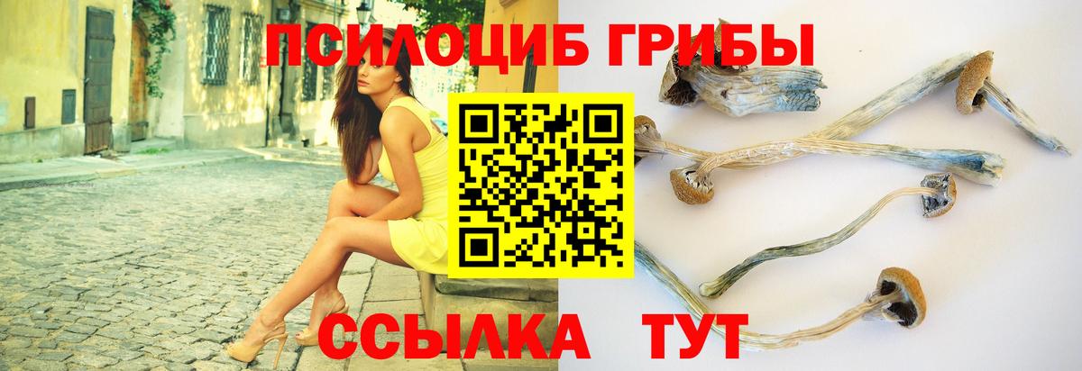 Псилоцибиновые грибы мухоморы  Вход с VPN  Орехово-Зуево 